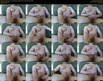 dixienormus_41 — 17 minute Chaturbate male cam video, 480p, Apr 3, 2019