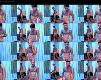 thadeowolf_ — 9 minute Chaturbate male cam video, 1080p, Apr 4, 2021
