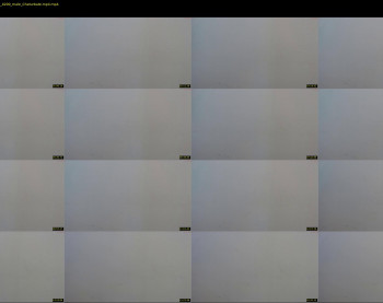 mr_hugeddick — 19 minute Chaturbate male cam video, 720p, Nov 13, 2021
