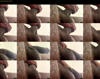 karadi5 — 3 minute Chaturbate male cam video, 720p, Sep 21, 2022