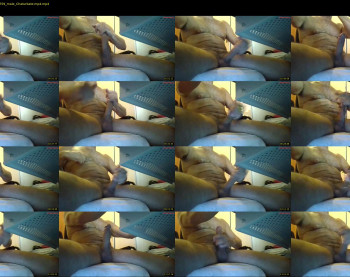 niceguy_10 — 16 minute Chaturbate male cam video, 480p, May 3, 2023