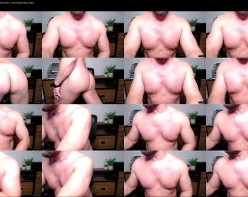 mister_dilf — 4 minute Chaturbate male cam video, 720p, Oct 30, 2023