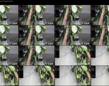 hotay_ — 29 minute Chaturbate male cam video, 720p, Mar 6, 2024