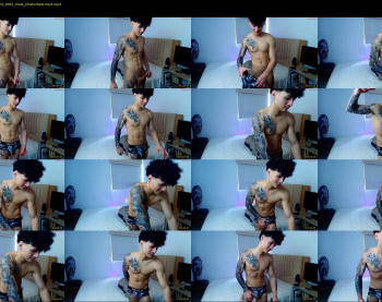 morthy_downey — 12 minute Chaturbate male cam video, 720p, Nov 16, 2024