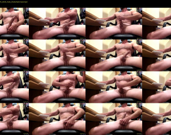 dixienormus_41 — 30 minute Chaturbate male cam video, 720p, Aug 19, 2025