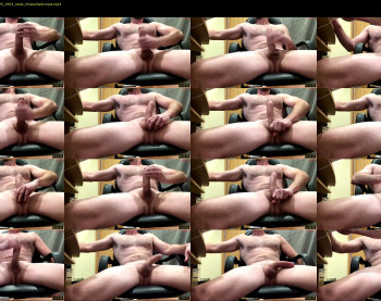 dixienormus_41 — 19 minute Chaturbate male cam video, 720p, Dec 29, 2025